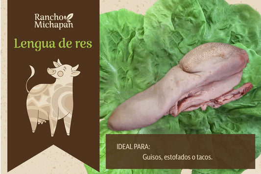 Lengua corte especial