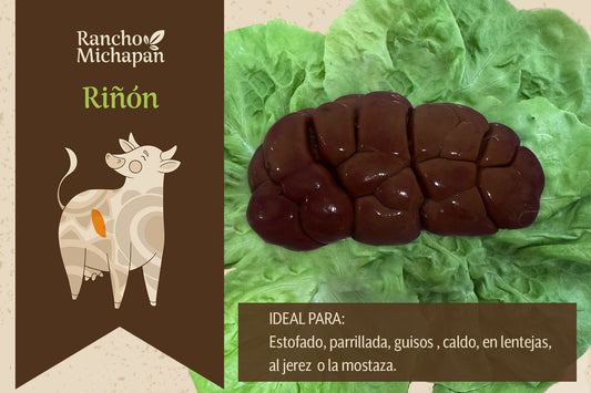 Riñón fresco para cocinar