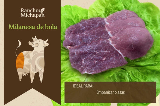 Milanesa de bola Especial Michapan